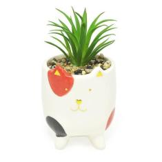 Imagem de Cachepot vaso vasinho com suculenta plantinha gatos - Fwb
