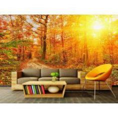 Imagem de Papel de Parede Paisagens Floresta 61 - 1,00 X 1,00