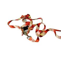 Imagem de Conjunto Peitoral Ajustável RBPet com Guia - Cães de Médio Porte