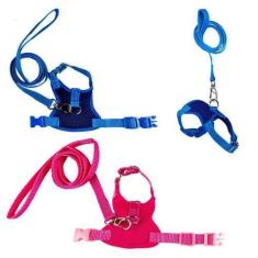 Imagem de Kit 2 Coleiras Peitorais Para Porquinho Da Índia - Nicapet