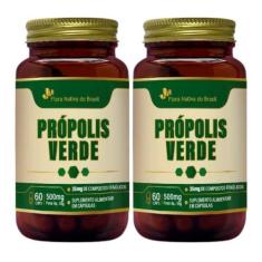 Imagem de Kit 2X Extrato Seco Própolis Verde 60 Capsulas 500Mg - Flora Nativa