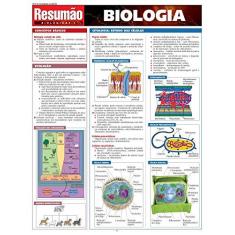 Imagem de Resumão - Biologia - Indefinido - 9788588749306