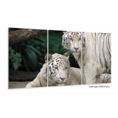 Imagem de Quadro Decorativo Natureza Tigres Selvagens 3 peças 120x66 M