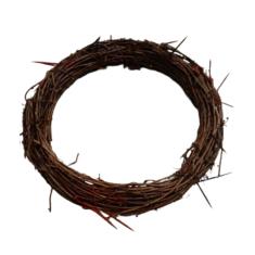 Imagem de Coroa de Espinhos Fantasia Adulto Jesus Cristo Teatro Sexta Feira Santa Cosplay Adereço Festa Halloween