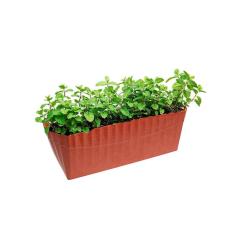 Imagem de Vaso Floreira Terracota Marrom Coral Cachepot Plissado 1un