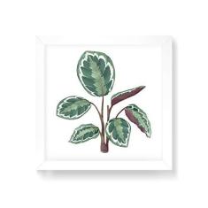 Imagem de Arte Maníacos Quadro Decorativo Planta Seis Folhas e Caule - 50x50cm (Moldura em laca )
