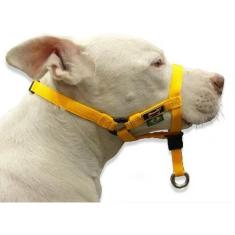 Imagem de Coleira Cabresto Halti Amarela (Amorosso)