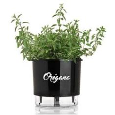 Imagem de Vaso Raiz Autoirrigável 16x14  Orégano Antidengue