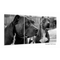 Imagem de Quadros Decorativos 2 Pitbull 120x60 3 peças