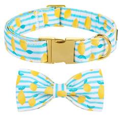 Imagem de Coleira de verão para cães Maca Bates com gravata borboleta para cães, laço, ajustável, coleiras de separação, acessórios para meninas, meninos, animais de estimação