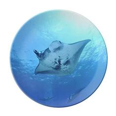 Imagem de Prato decorativo de porcelana Salver Salver Prato de jantar para skate de rai oceano