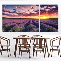 Imagem de Quadro Decorativo Campo Lavanda