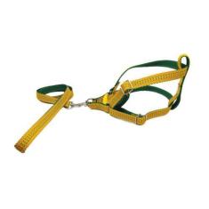 Imagem de Coleira Peitoral Riscadinho Americano - Amarelo Nº 05 - Nicapet