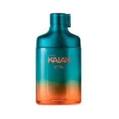 Imagem de Perfume Masculino Desodorante Colônia 100ML KaiakVital - Perfumaria