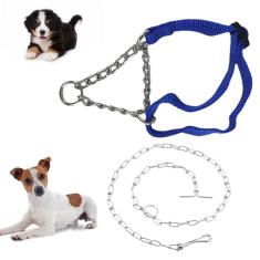 Imagem de Coleira Kit Corrente Ajustavel Semi Enforcador Aço Pet