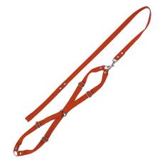 Imagem de Coleira Conjunto Guia De Seda Com Peitoral N3 Médio