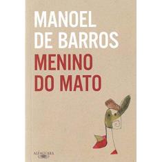 Imagem de Menino do Mato - Capa Comum - 9788579624087