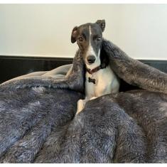 Imagem de Cama Para Cachorros E Gatos Cave Com Coberta G 70X70 - Decoração Ateli