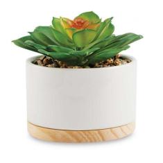 Imagem de Cachepot Em Cerâmica Com Suculenta Permanente Mart 