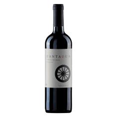 Imagem de Vinho Fino Tinto Cantagua Carbenet Sauvignon 750ml