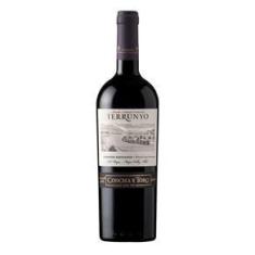 Imagem de Vinho Terrunyo Carmenere  750Ml