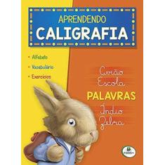 Imagem de Aprendendo Caligrafia. Palavras - Capa Comum - 9788573987935
