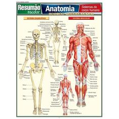 Imagem de Resumão Escolar - Anatomia - Ensino Fundamental - Perez, Vincent; Perez, Vincent - 9788577111787