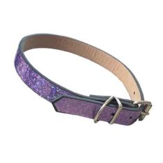 Imagem de Coleira de identificação pra cachorro 42cm x 15mm - IDEA, ROXO