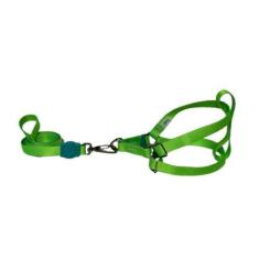 Imagem de Coleira Peitoral Para Cães Americano 15mm - Verde Neon - Nica Pet