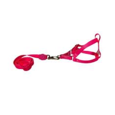 Imagem de Coleira Peitoral Neon Para Cães Americano 15mm - Rosa Nº2 - Nica Pet