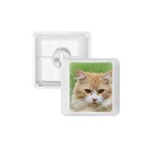 Imagem de Kit de atualização para jogos com teclado mecânico PBT Yellow Stripes Cat Stare Pet Animal