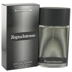 Imagem de Perfume Masculino Intenso Ermenegildo Zegna 100 ML Eau De Toilette
