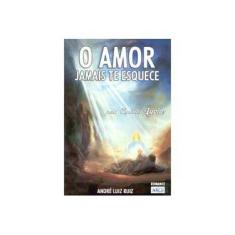 Imagem de O Amor Jamais Te Esquece - Ruiz, Andre Luiz - 9788573413045