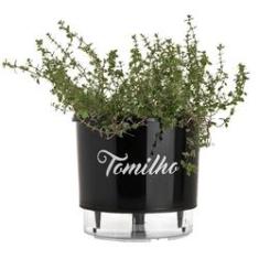 Imagem de Vaso Raiz Autoirrigável 16x14  Tomilho Antidengue