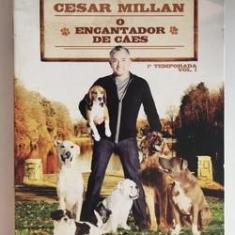 Imagem de DVD Cesar Millan - O Encantador De Cães (3 DVDs)