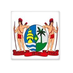 Imagem de ejo de cerâmica brilhante com emblema nacional da Ameica do Sul do Suriname