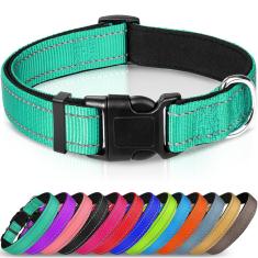 Imagem de Coleira Para Cães Joytale Reflective Neoprene Acolchoada Nylon Teal