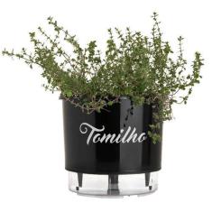 Imagem de Vaso Raiz Auto Irrigável N3  Tomilho Temperos Oferta
