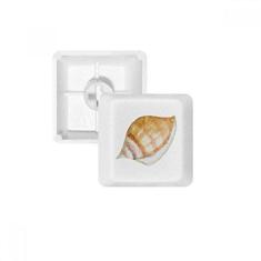 Imagem de Kit de atualização para jogos PBT teclado mecânico com ilustração colorida de caracol marinha