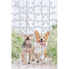 Imagem de Quebra-Cabeça Cognitivo Reabilitação Idosos 60 Peças - Reidopendrive