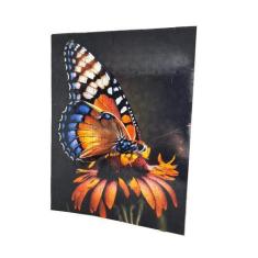 Imagem de Quebra-Cabeça Borboleta 300 Peças Mdf - Reidopendrive