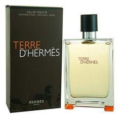 Imagem de Terre D'Hermés Eau De Toilette Masculino 100 ml