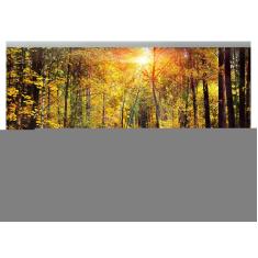 Imagem de Papel De Parede Estrada Caminho Floresta 3D Nes105 3M²