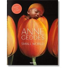 Imagem de Small World - Babies on Board - Geddes, Anne - 9783836565561