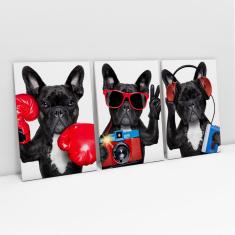 Imagem de Quadro Cachorro Buldogue Francês Decorativo Sala Divertido Kit 3 Telas Grande- Bimper