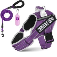 Imagem de Conjunto de coleira e coleira acolchoada para cães, sem puxão, ajustável, com 8 adesivos para cães, refletivo no treinamento, fácil de controlar, com coleira para cães de 1,5 m para cães pequenos,