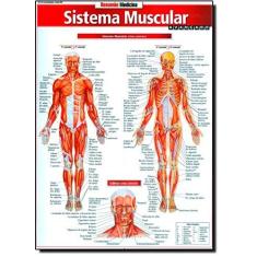 Imagem de Sistema Muscular - Avançado - Col. Resumão Medicina - & Associados, Barros Fischer - 9788577112401