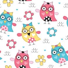 Imagem de Papel de Parede Adesivo Infantil Corujinhas 2,70x0,57m