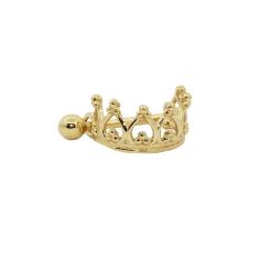 Imagem de Piercing Cartilagem Ouro 18k Coroa com haste