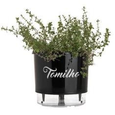Imagem de Vaso Raiz Autoirrigável N3  Tomilho Temperos Horta